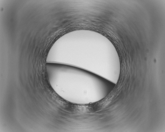 X0000087020233200704301322