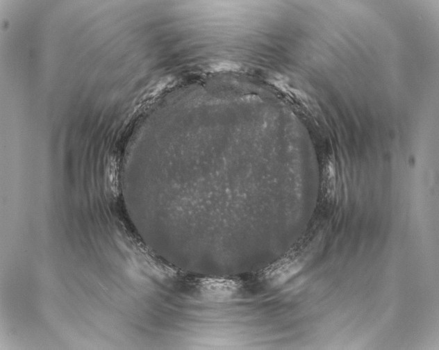 X0000087020234200704301322