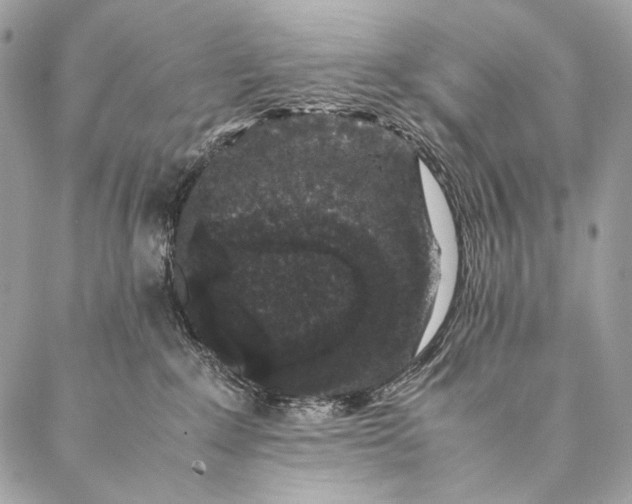 X0000087020235200704301322