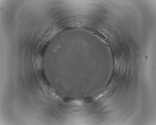 X0000087020236200704301322