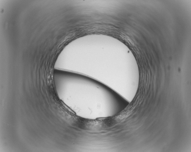 X0000087020237200704301322