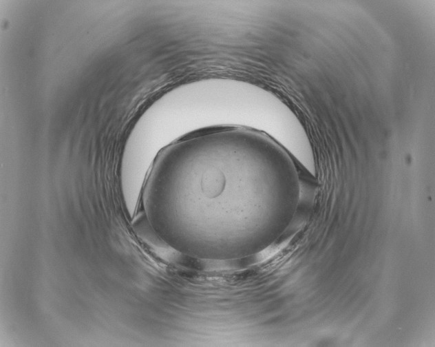 X0000087020239200704301322