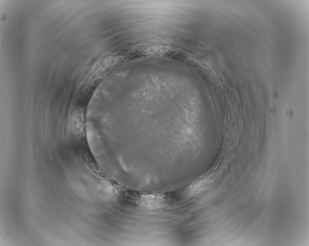 X0000087020240200704301322