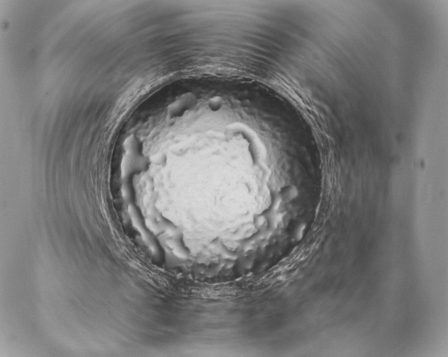 X0000087020241200704301321