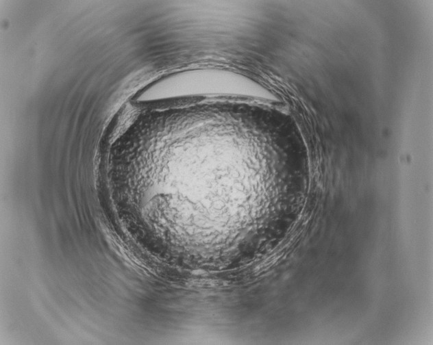 X0000087020242200704301321