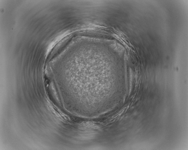 X0000087020244200704301321