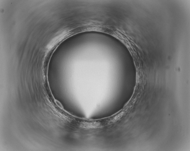 X0000087020245200704301321