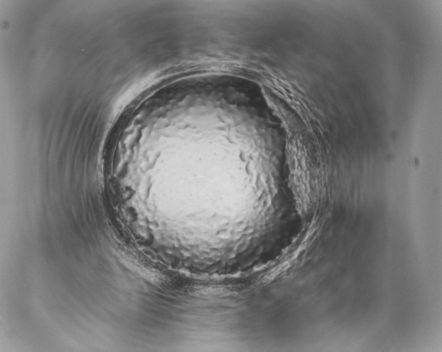 X0000087020246200704301321