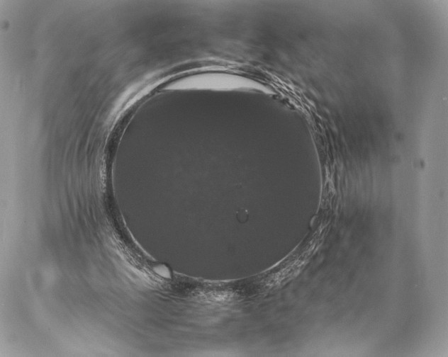 X0000087020247200704301321