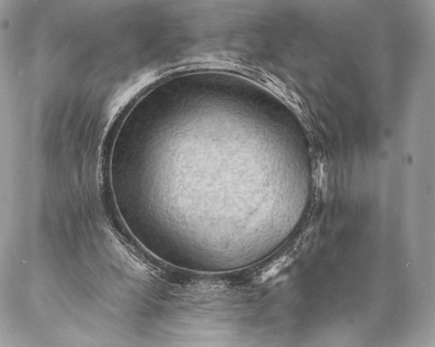 X0000087020248200704301321