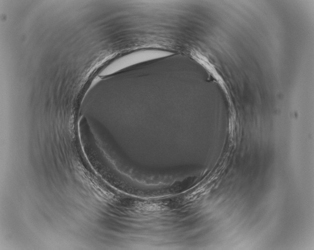 X0000087020249200704301321