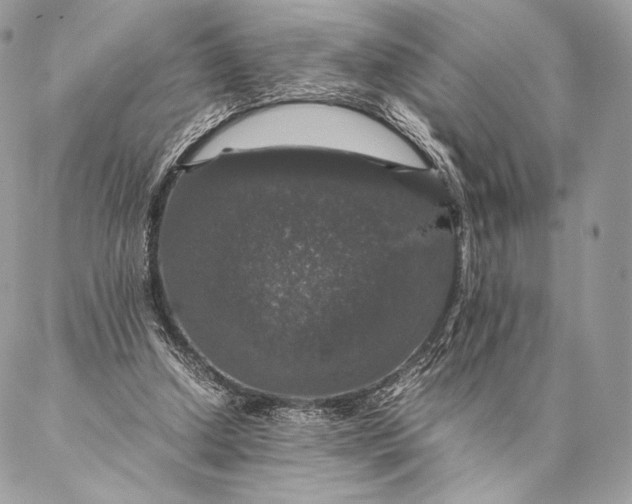 X0000087020250200704301321