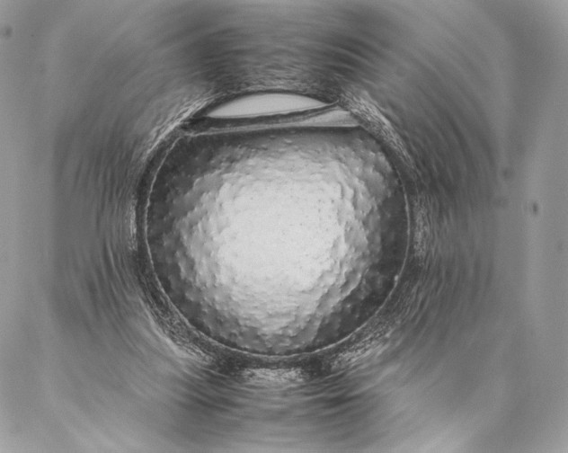 X0000087020251200704301321