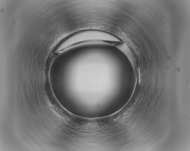 X0000087020252200704301321