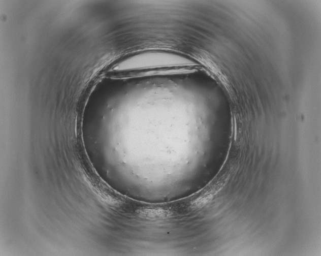 X0000087020253200704301321