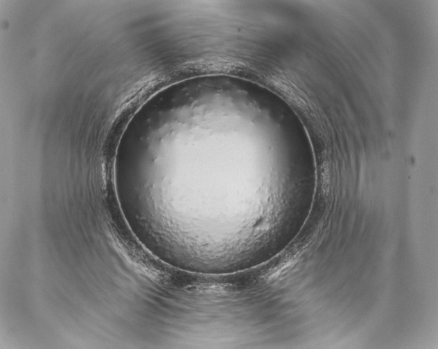 X0000087020254200704301321