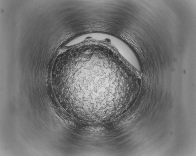 X0000087020255200704301321