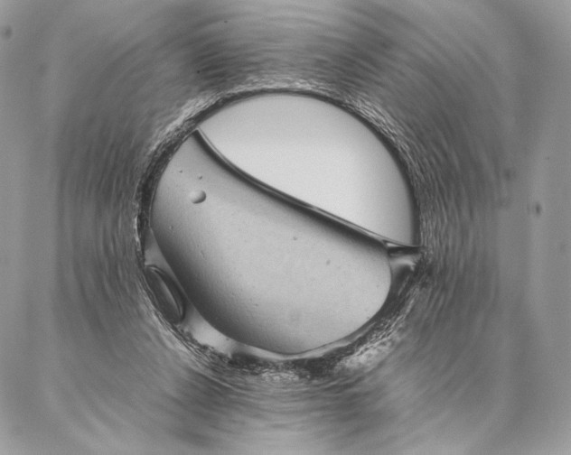 X0000087020256200704301321