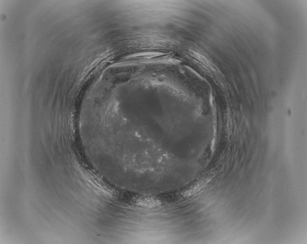 X0000087020258200704301321