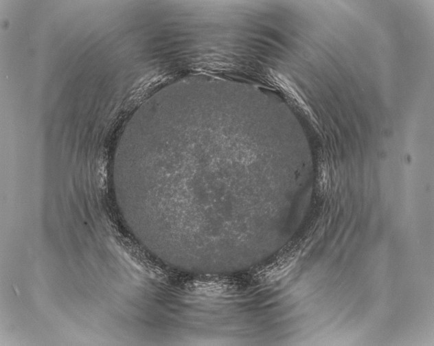 X0000087020259200704301321