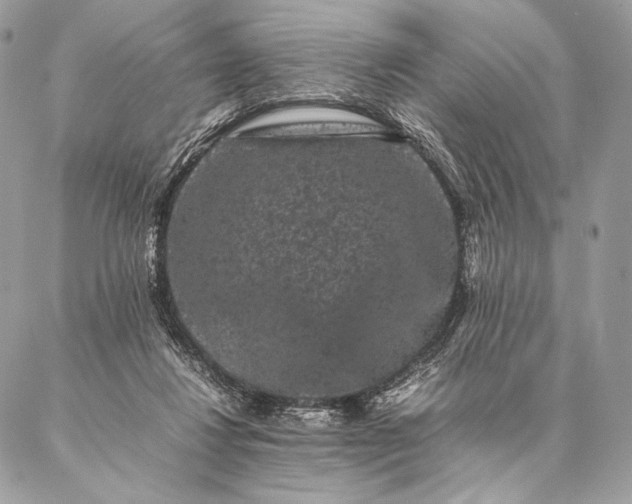 X0000087020260200704301321