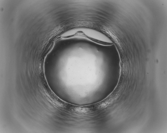 X0000087020261200704301321