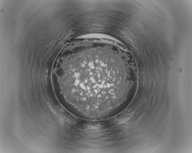 X0000087020263200704301321