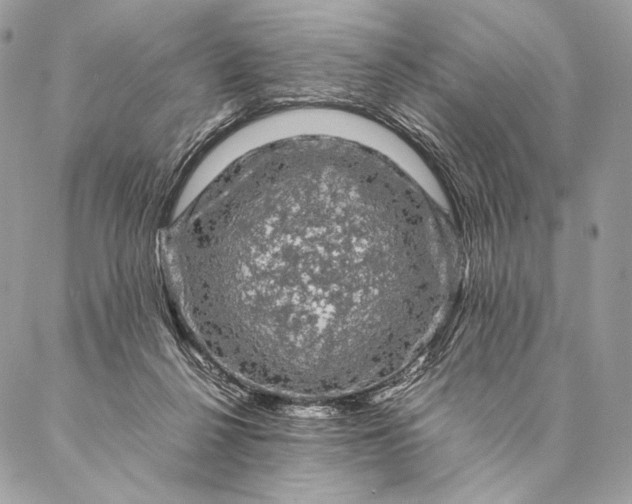 X0000087020264200704301321