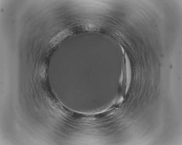 X0000087020266200704301321