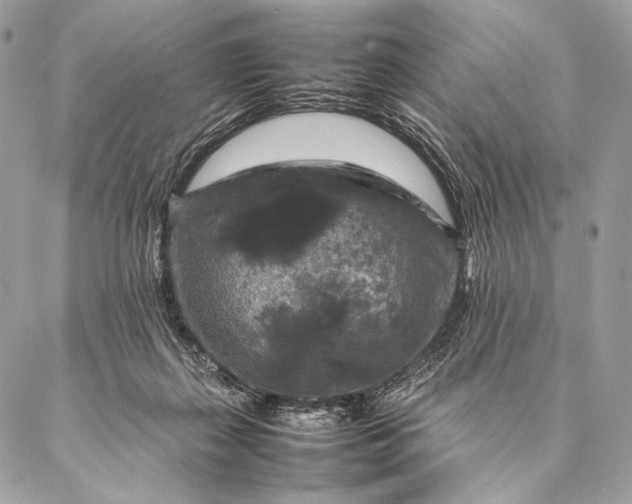 X0000087020267200704301322