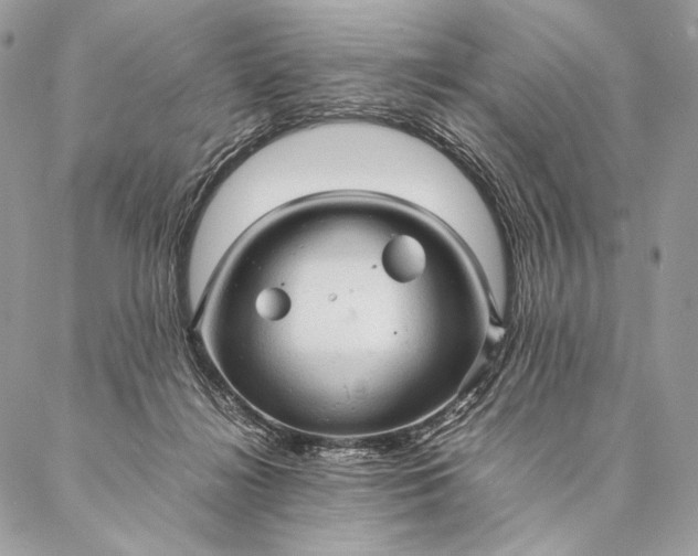 X0000087020268200704301322