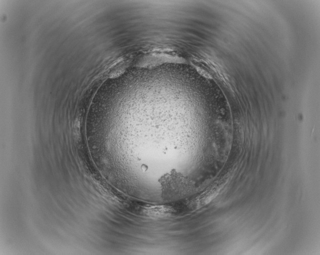 X0000087020269200704301322