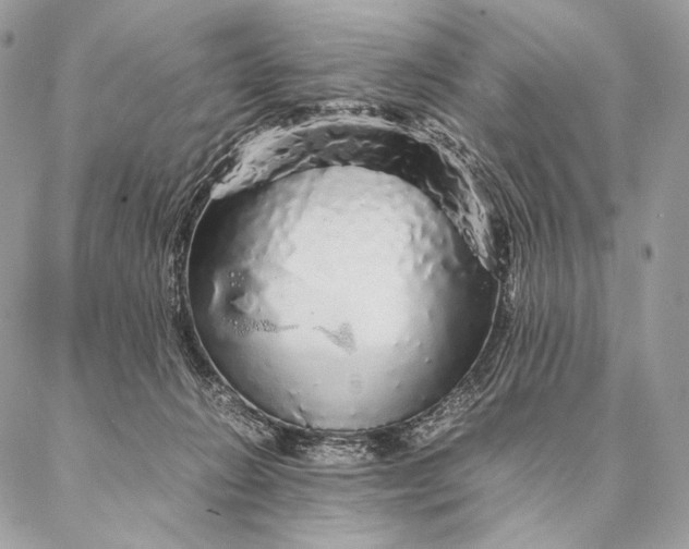 X0000087020270200704301322