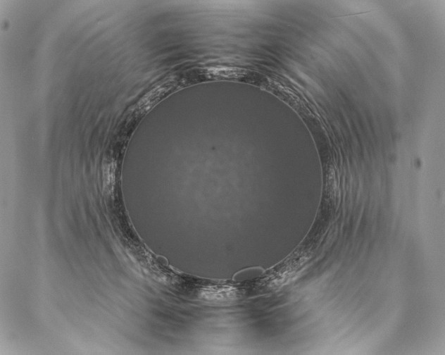 X0000087020271200704301322