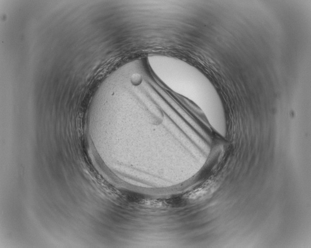 X0000087020272200704301322