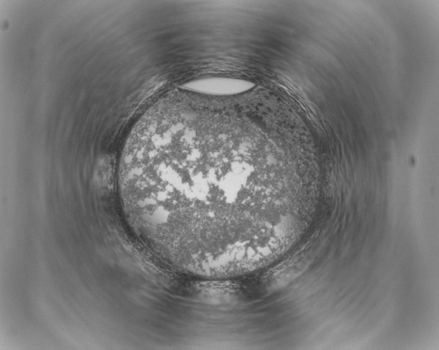 X0000087020273200704301322