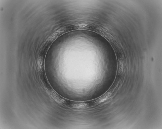 X0000087020274200704301322