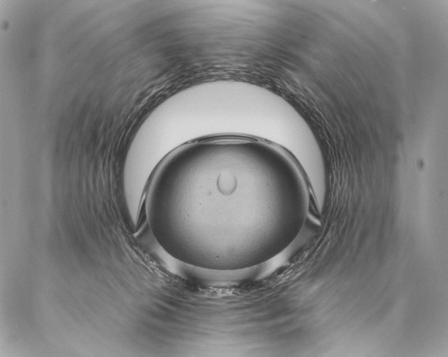 X0000087020276200704301322