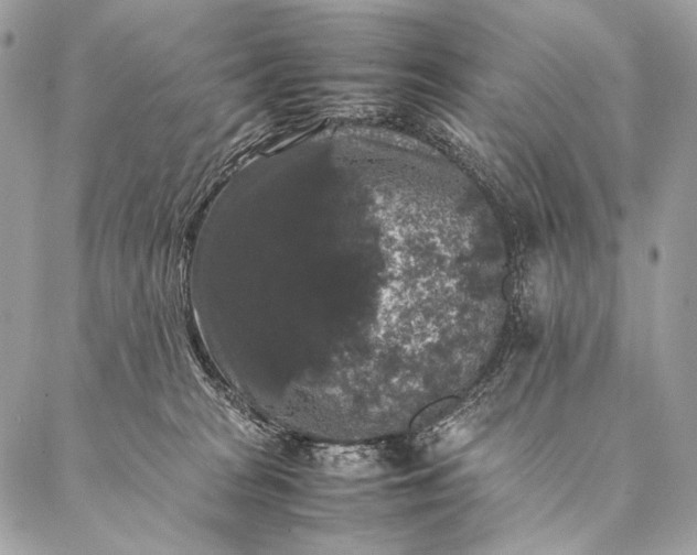 X0000087020277200704301322