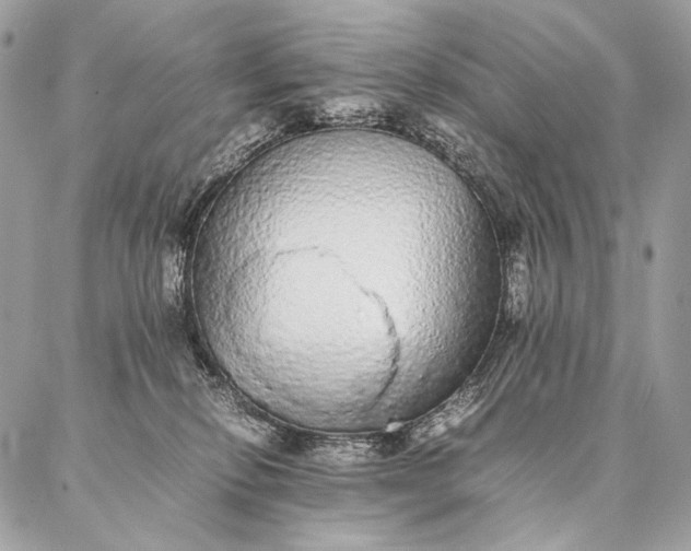 X0000087020278200704301322