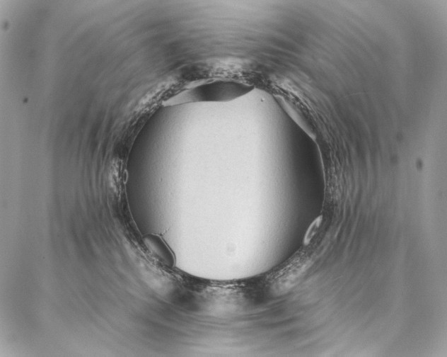 X0000087020280200704301322