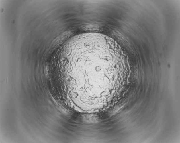 X0000087020281200704301322