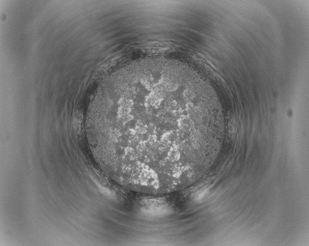 X0000087020283200704301322