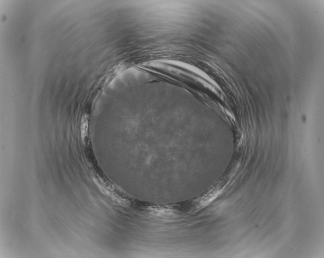 X0000087020284200704301322