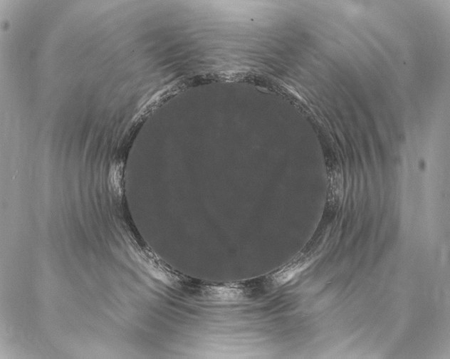 X0000087020286200704301322