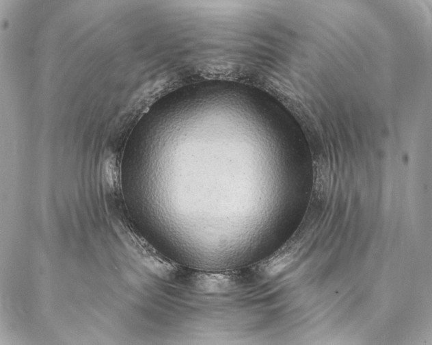 X0000087020287200704301322