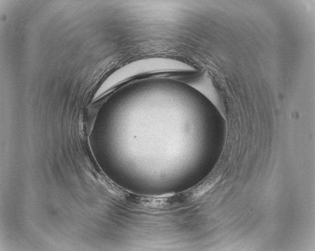 X0000087020288200704301322