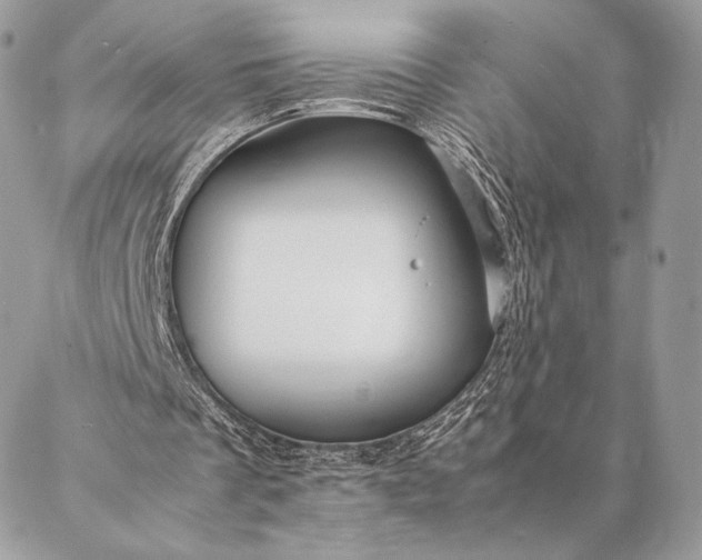 X0000087020289200704301321