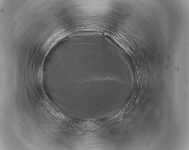 X0000087020290200704301321