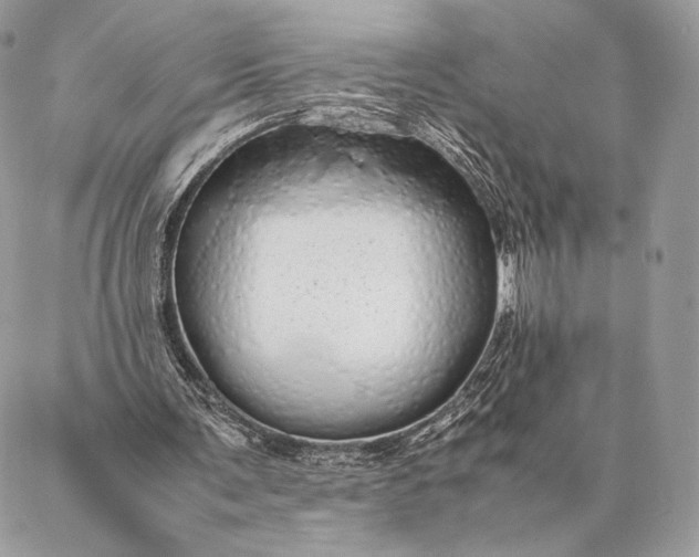 X0000087020291200704301321